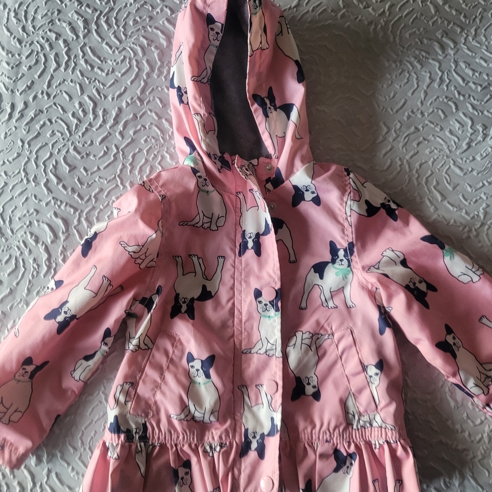 Boston Dog Light Weight Coat